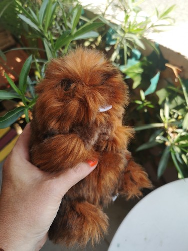 Peluche marmotte alpes - peluche,