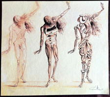 Salvador Dalì Lithographie