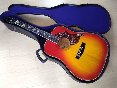 Guitare acoustique morris - guitare,