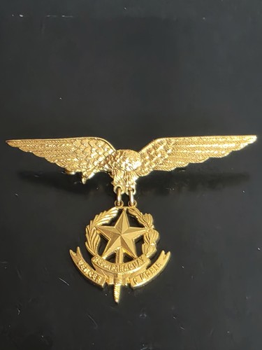 Aviation pilote armée de - armée,