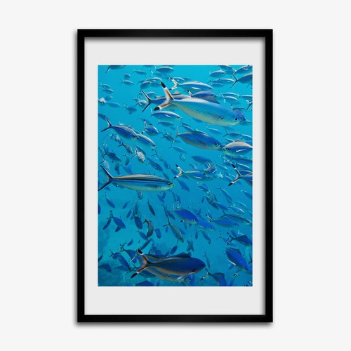 Tulup photo cadre 40x60cm - cadre,