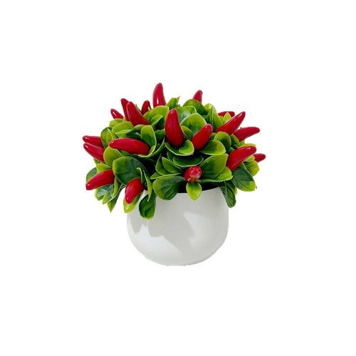 Bonsaï arbre fruitier - bonsaï,