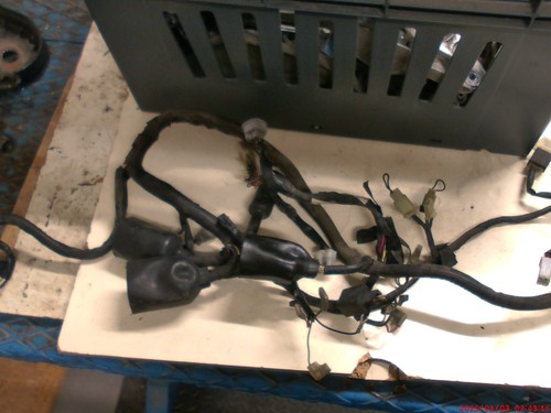 Faisceau électrique yamaha - faisceau,