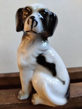 chien type setter ou épagneul