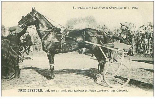hippisme.n°35963.fred
