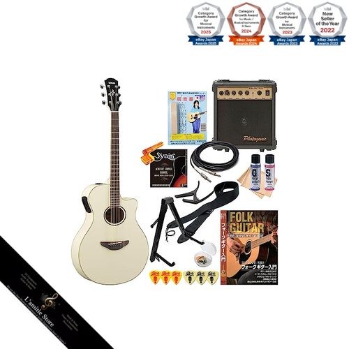 Guitare acoustique électrique