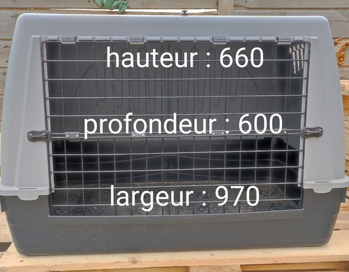 Caisse transport pour chien - de,