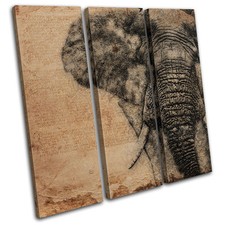 Elephant Sketch Aged  Animals