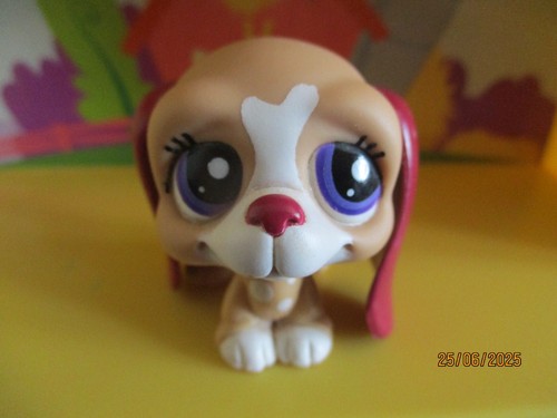 Petshop chien basset hound - petshop,