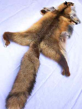 Peau de renard roux / fourrure