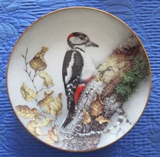 Assiette Franklin Décor Pic Epeiche Buntspecht Porcelaine Haviland Limoges 1984