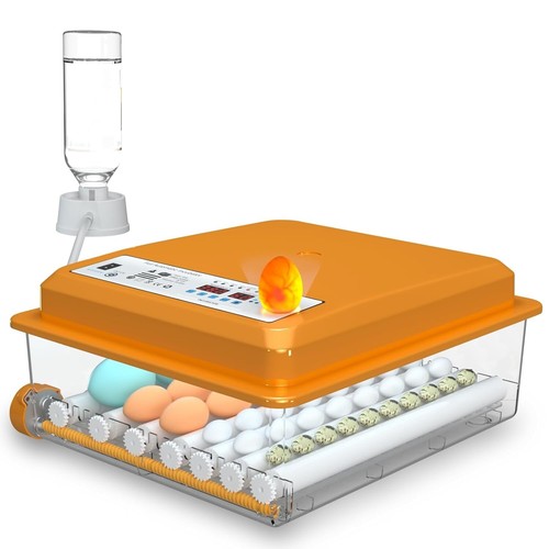 Incubateur automatique - automatique, 36