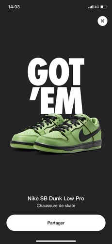 Nike dunk low the - x,