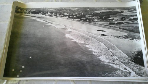 Photo lapie aerienne 45 - aerienne,