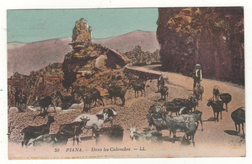 Cpa couleur piana dans - couleur,