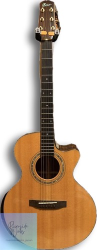 Guitare acoustique électrique