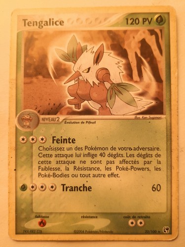 Carte pokémon tengalice - -,
