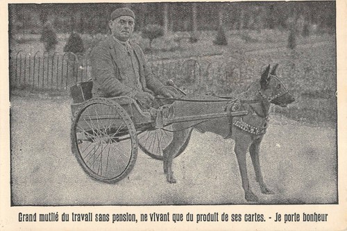 Cpa attelage chien grand - attelage, a