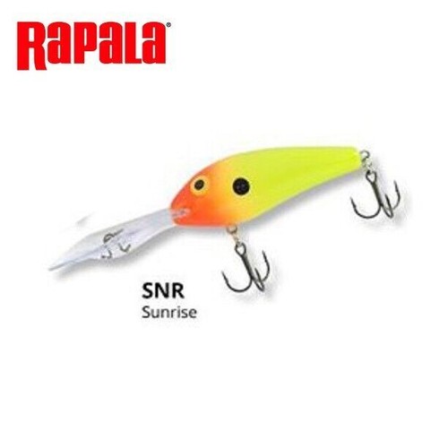 Poisson nageur rapala - poisson, deep