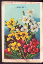 Chromo " Blédine " Julienne
