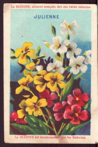 Chromo blédine julienne - ", "