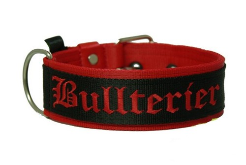 Collier bullterrier miniature - bullterrier,