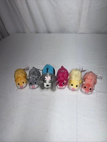 Zhu pets hamsters 1 - 6,