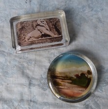 #Souvenir# Presse-papier en verre / Lion de Belfort / Chapelle Saint Roch