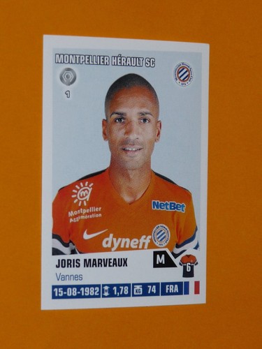 254 joris marveaux mhsc - joris,