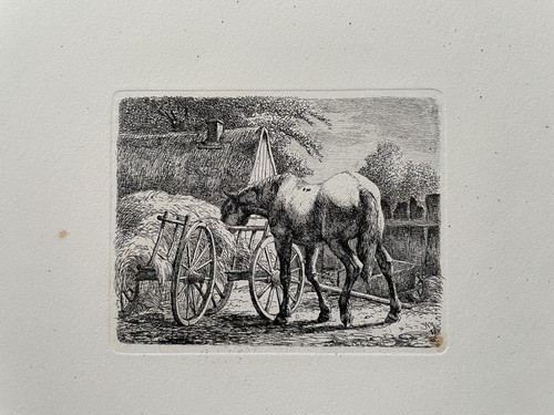 Johannes wilhelm zillen - wilhelm,