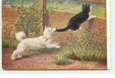 Chien mordant la queue d'un chat sautant une barrière - 21976