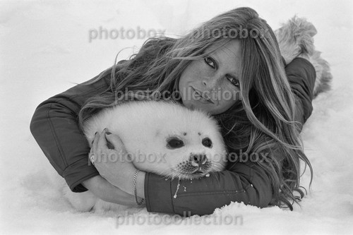 Brigitte bardot exclusive - brigitte,