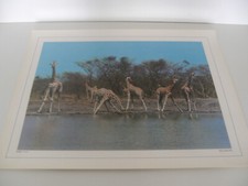 ANCIENNE PLANCHE AFFICHE