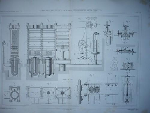 Gravure 1880 agriculture - gravure,