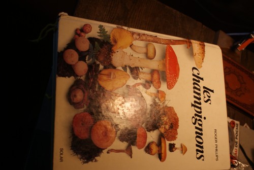 Encyclopédie les champignons - encyclopédie,
