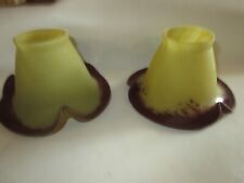 Lot de 2 Tulipes anciennes en