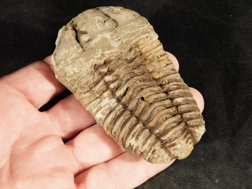 Big natural 460 million - million, year