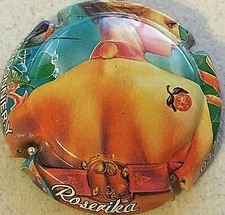 Capsule de champagne CHARDONNIER Y. (77b. polychrome)