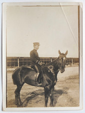 Soldat militaire cheval profil - Photo ancienne snaphsot, Japon?