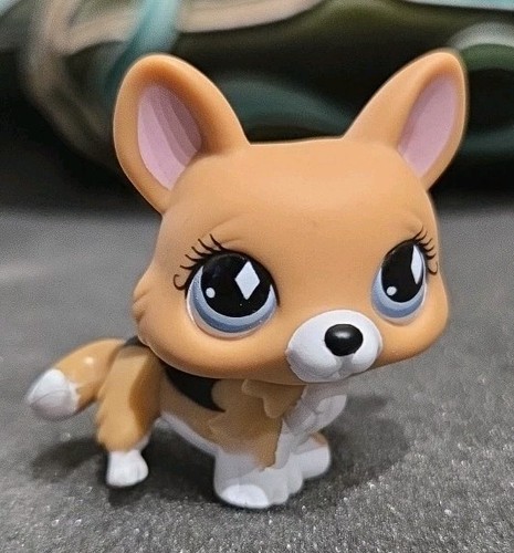 Authentic littlest pet shop - authentic,