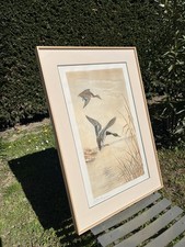 Gravure Canards Léon Danchin 