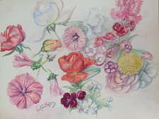 ANCIENNE PLANCHE DE DESSINS