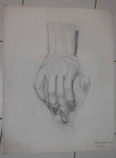 dessin d'étude main anatomie