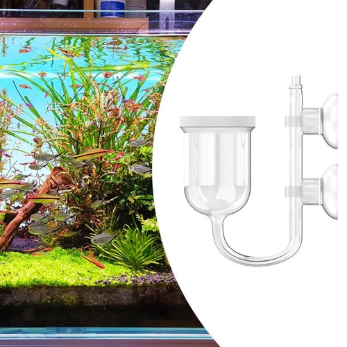 Diffuseur co2 verre avec - de,