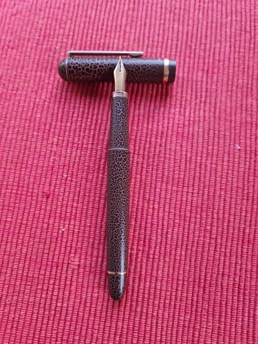 Superbe stylo plume - plume,