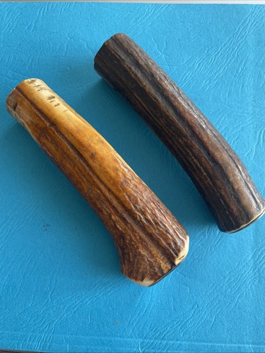 Bois cerf pour monter - de,