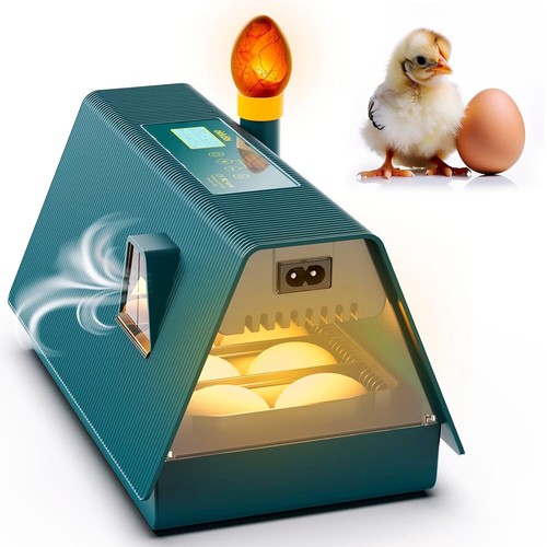 Incubateur automatique - incubateur,