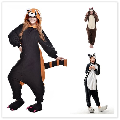 écureuil raccoon lémurien - Écureuil,