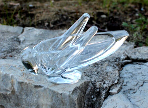Jolie sauterelle cristal - en,