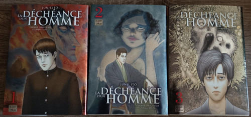Manga déchéance un - la, d'un